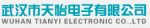 TianYi Electronic (Wuhan) Co., Ltd.